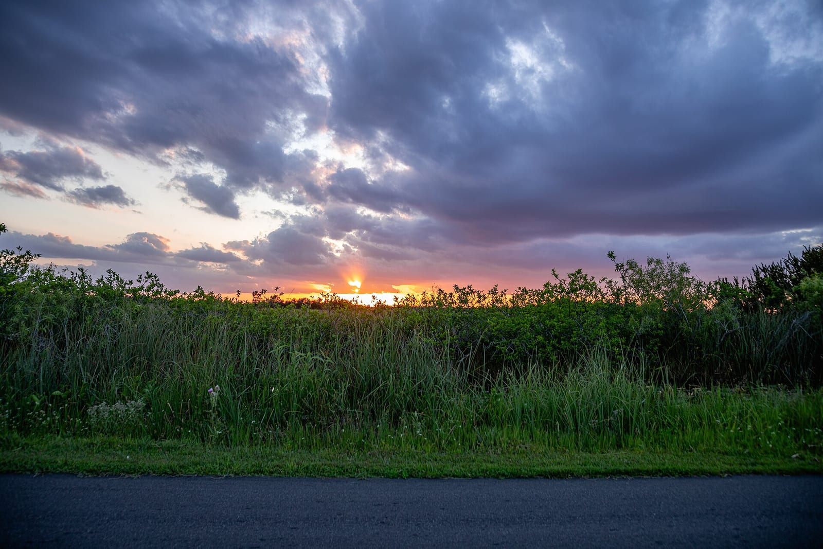 Sunset over the sawgrass marsh at Shark Valley in Everglades National Park, Florida